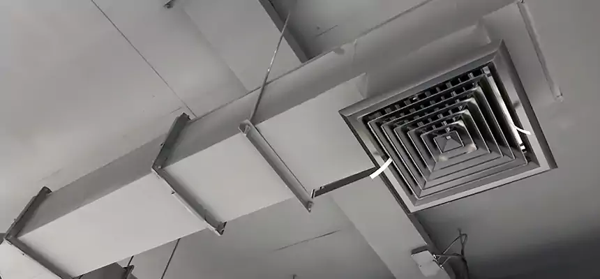 Our Rodent Droppings In Vents Services in La Vergne, TN