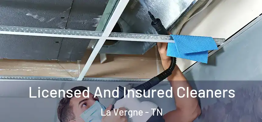  Licensed And Insured Cleaners La Vergne - TN