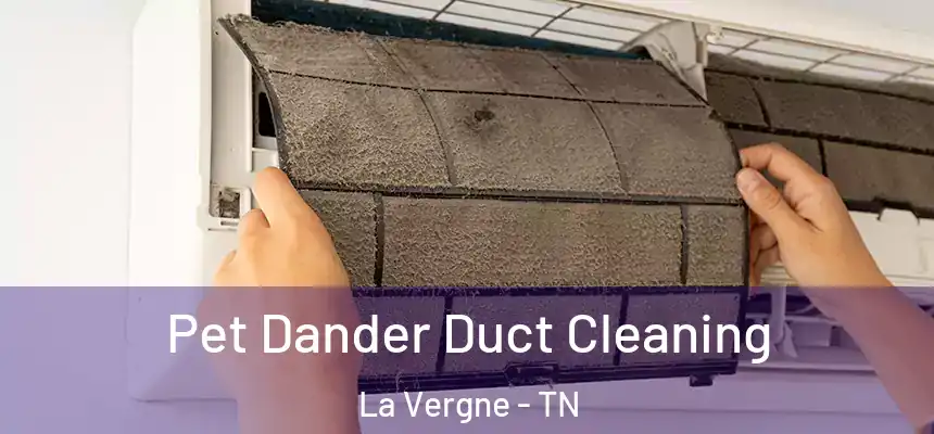 Pet Dander Duct Cleaning La Vergne - TN