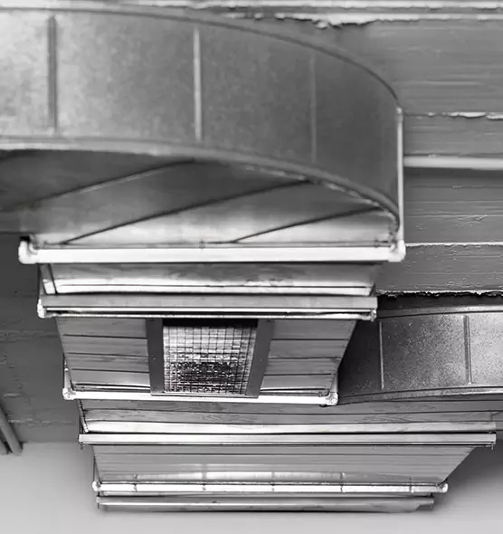 Professional Air Duct Pest Removal in La Vergne, TN