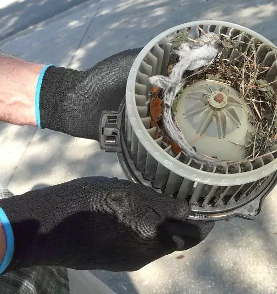 About Air Duct Rat Removal in La Vergne, TN