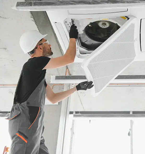 About Air Duct Rodent Removal in La Vergne, TN