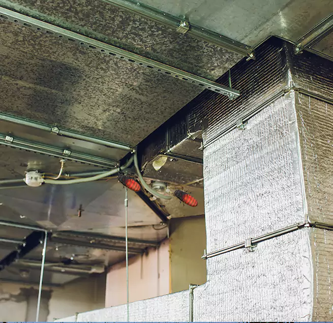 Why Homeowners & Businesses Trust Us in La Vergne, TN?